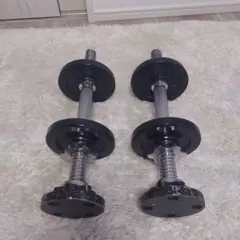 アイロテック　ダンベル　シャフト　1.25kg×4 オンザニープレート