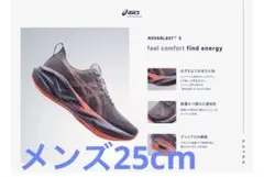 ASICS アシックス　NOVABLAST 5 パープル