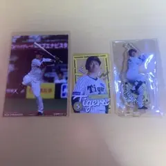 阪神タイガース　ドコモくじ　近本光司