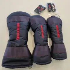 Item thumbnail for item a54d7241-5dc5-47b5-bb03-1d2dbf38d7f8