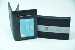 Item thumbnail for item e860a10c-f17f-44d1-abb0-5bdba18e12ef