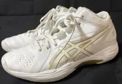 ASICS GELHOOP バスケットボールシューズ22.5cm