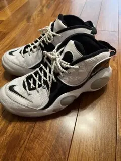 NIKEエアズームフライト 27センチ