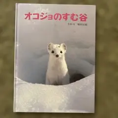 Item thumbnail for item 3aa088d4-6c50-468a-bcc2-05878839615f