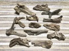 Item thumbnail for item 4be17289-faa6-4fcb-9dc1-7857692977e0