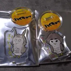 ボクトフクロウ　アカアシフクロウ