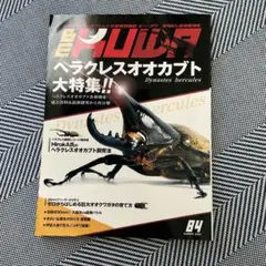 ビークワ　 84 ヘラクレスオオカブト特集　2022年