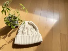 Item thumbnail for item 68a3d3bf-ebfa-4268-90ec-6488421eeda6