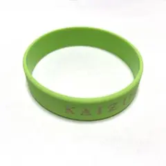 Eve 廻人 ライブツアー グッズ ライトバンド リストバンド 2個セット Eve 廻人 ライブツアー グッズ ライトバンド リストバンド 2個