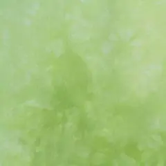 キャシーマム✩.*˚ラニダイ✩.*˚ピカケ