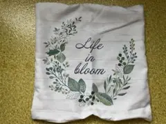 Item thumbnail for item 321404ba-5770-4340-87f9-effdaaecfdb0