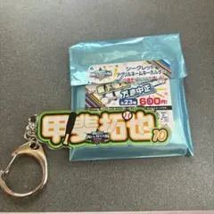 甲斐拓也 シークレットアクリルネームキーホルダー