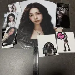 【威名配送】aespa 2025 LIVE TOUR うちわ カリナグッズセット