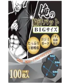 NOSTEEZ 俺の脇汗パッド BIGサイズ わきあせパットメンズ100枚 黒