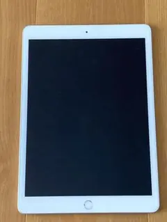 Apple iPad シルバー 本体 第7世代