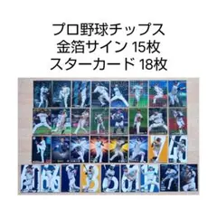 Item thumbnail for item c03da1e5-d190-4900-a37e-0ba48c2d5125