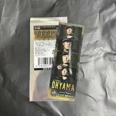 大山選手 阪神タイガース B-LUCK フォトグレイ