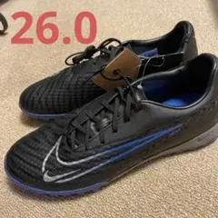 Item thumbnail for item 767e8422-77e9-4987-bb55-3861aebedd12