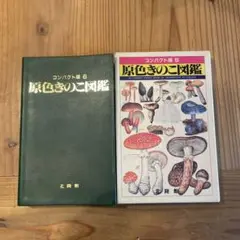 原色きのこ図鑑 コンパクト版6