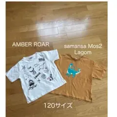 AMBER ROAR & samansa Mos2 Lagom 2枚セット