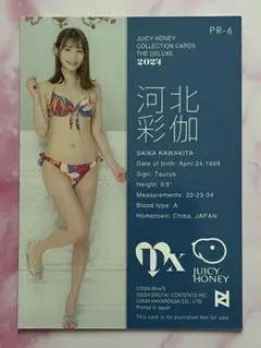 PR-2 河北彩伽 ジューシーハニー DELUXE2024 プロモーションカード 河北彩伽』AVC ジューシーハニー THE DELUXE 2024 3Dニップル