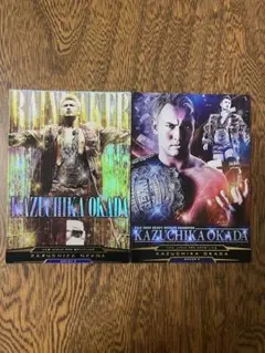 2025年最新】キングオブプロレスリング オカダカズチカの人気