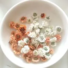 Item thumbnail for item b48de589-c8b9-4f91-9754-7e730accc933