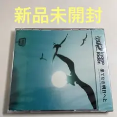 175R / 果てなき明日へと (DVD付き)