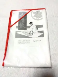 不織布とビニールで出来た、破れにくい 衣装敷
