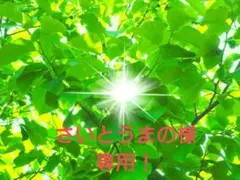 Item thumbnail for item 6e5f1d59-99ad-46a8-b74e-5657638b9e14