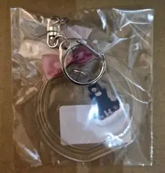 ファントムシータ　アクキー　もな