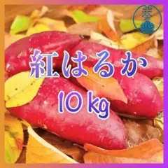 さつまいも【紅はるか】10kg