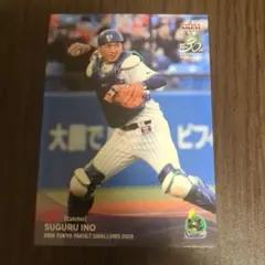 野球カード ヤクルト 井野卓