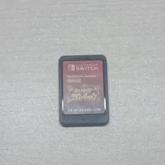 ポケットモンスター　スカーレット　ケースのみ