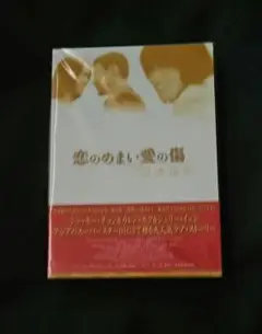恋のめまい愛の傷 DVD