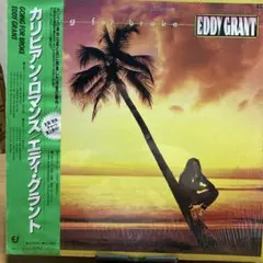 Eddy Grant Going for Broke レコード　中古品
