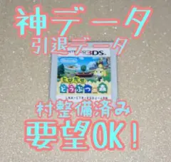 【とびだせどうぶつの森】神データ/村整備済み