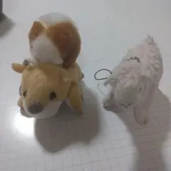 ぬいぐるみキーホルダーセット