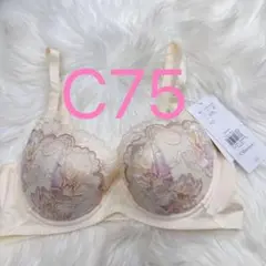 トリンプ 天使のブラ 魔法のハリ感626 ブラジャー ベージュ C75
