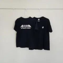 角川大映　スタジオスタッフSTUDIO STAFF Tシャツ M&L　2枚