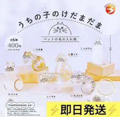 新品 即日発送　うちの子のけだまだま　コンプリート　ガチャ 全6種セット