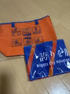 アルビレックス新潟　保冷バッグ・タオルマフラー