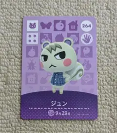 どうぶつの森 amiiboカード　ジュン　amiiboカード