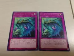 遊戯王　バージェストママーレラ　2枚