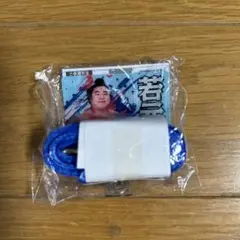 大相撲ガチャ フォンタブ&ストラップ