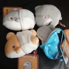 おでかけ子ザメ　ベビー子ザメ ましゅもっち ひとくちサイズ　全4種セット