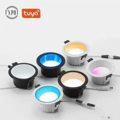 Item thumbnail for item 34acd442-e8f1-4632-a9aa-4e818d93649e
