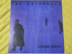 ESTRANGED 7インチ us post punk パンク天国　ポストパンク
