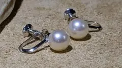 Mikimoto K14 WG 一粒パール イヤリング