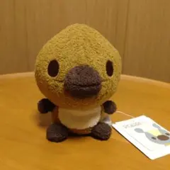 サンアンドスター　ポエール　クリボ